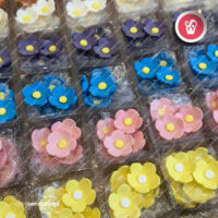 flores-A0458-pack-4-whirlsensations (002)