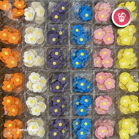 flores-A0458-pack-5-whirlsensations (002)