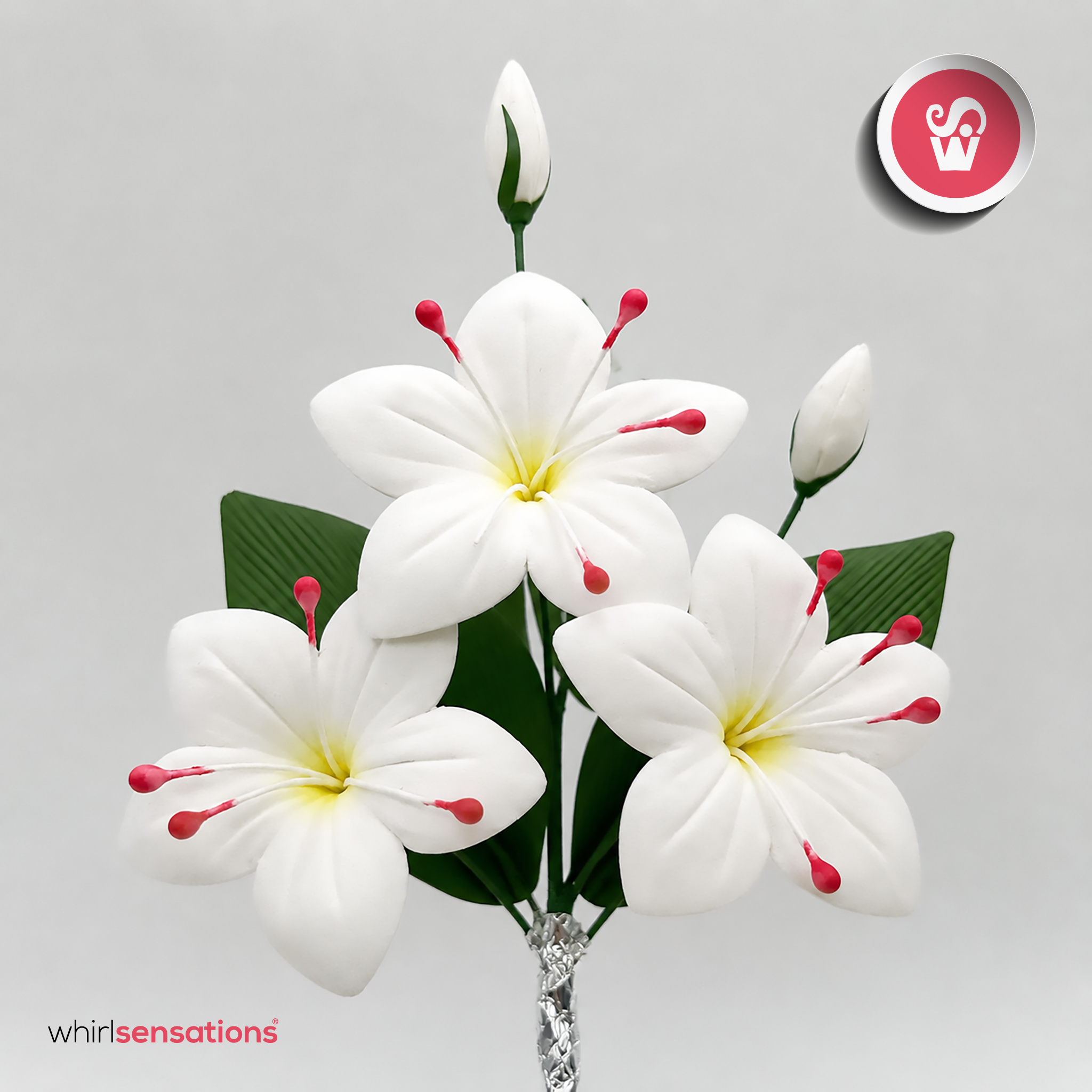 plumeria-branca-whirlsensations-1