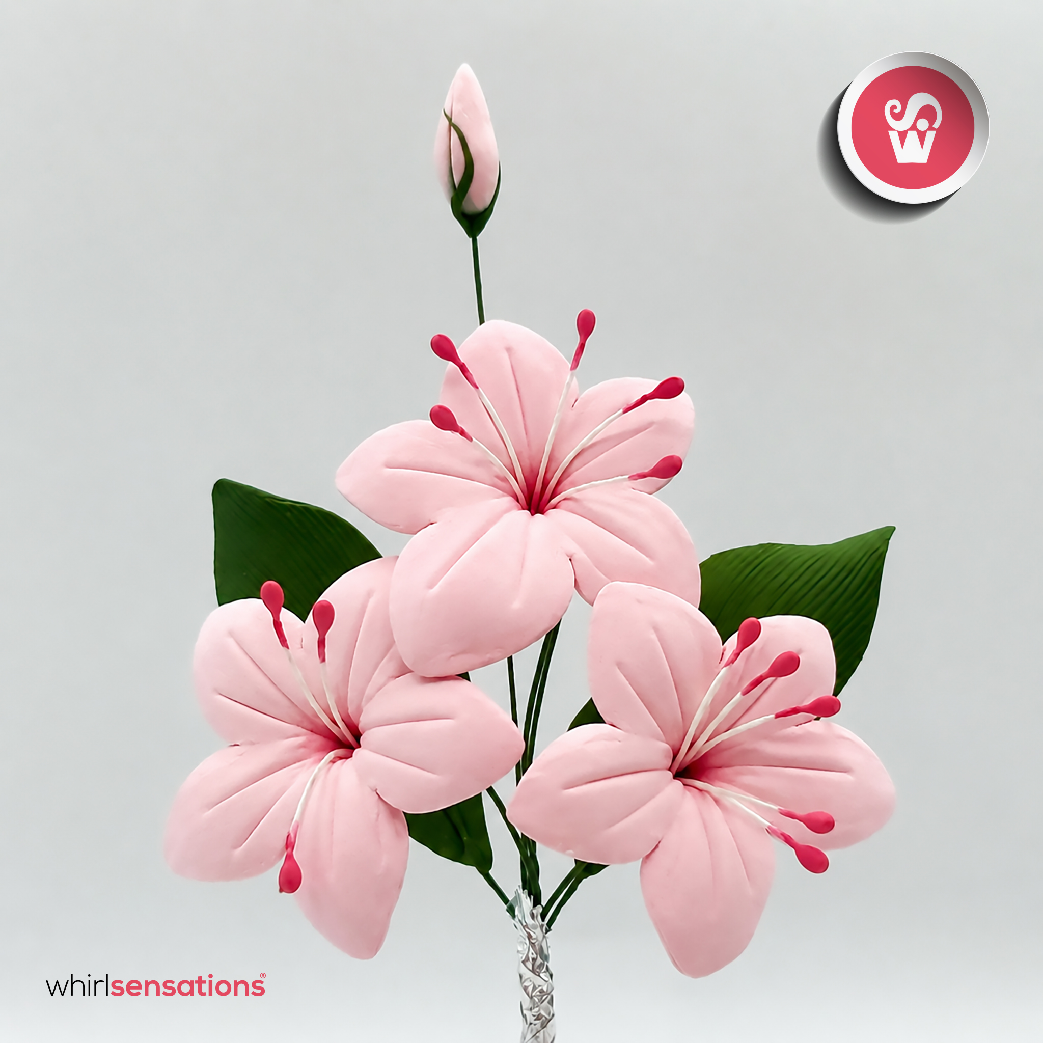 plumeria-rosa-whirlsensations-1