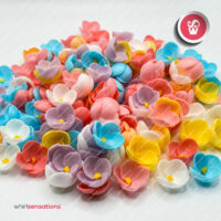 flores-3-whirlsensations