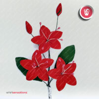 plumeria-vermelha-whirlsensations-1