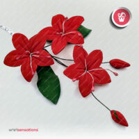 plumeria-vermelha-whirlsensations-2
