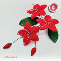 plumeria-vermelha-whirlsensations-3