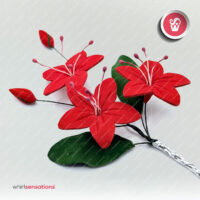 plumeria-vermelhal-whirlsensations-4