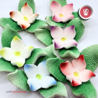 flores-A0446-1-whirlsensations (002)