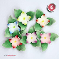 flores-A0446-2-whirlsensations (002)