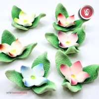 flores-A0446-3-whirlsensations (002)