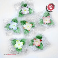 flores-A0446-4-whirlsensations (002)