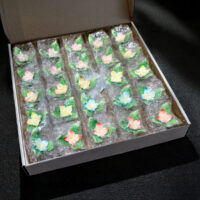 flores-A0446-pack-2-whirlsensations (002)