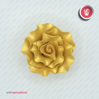 flores-A0454-pack-5-whirlsensations (002)