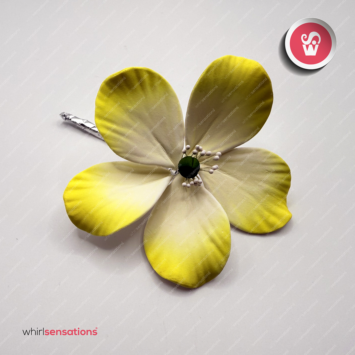 flores-A0456-amarelo-1-whirlsensations (002)