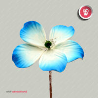 flores-A0456-azul-3-whirlsensations (002)