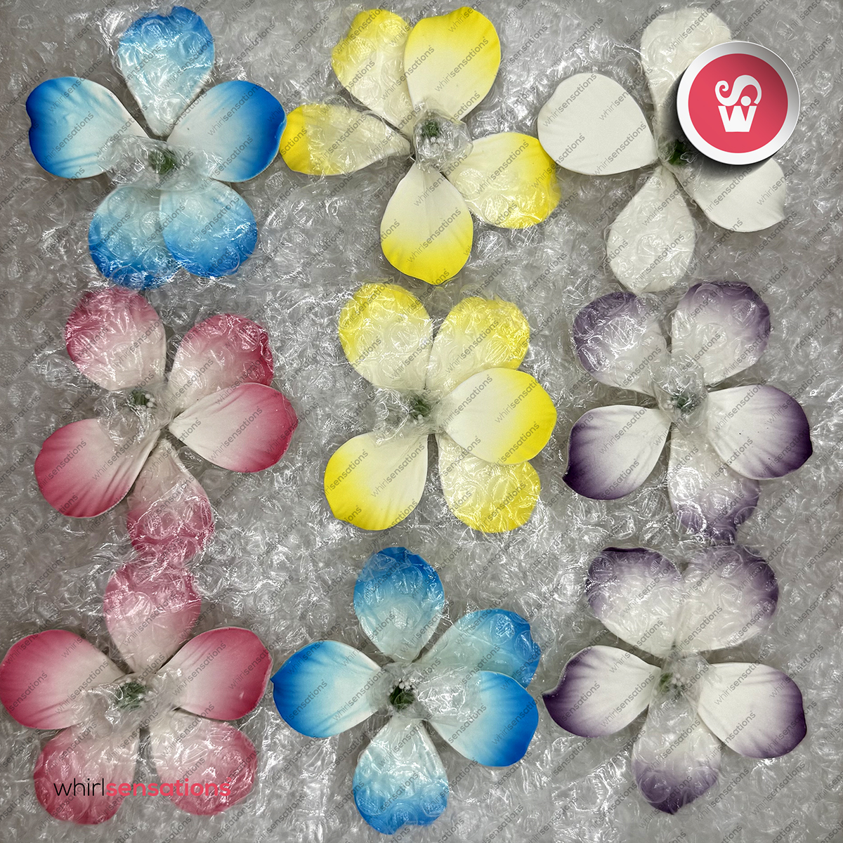 flores-A0456-pack-4-whirlsensations (002)