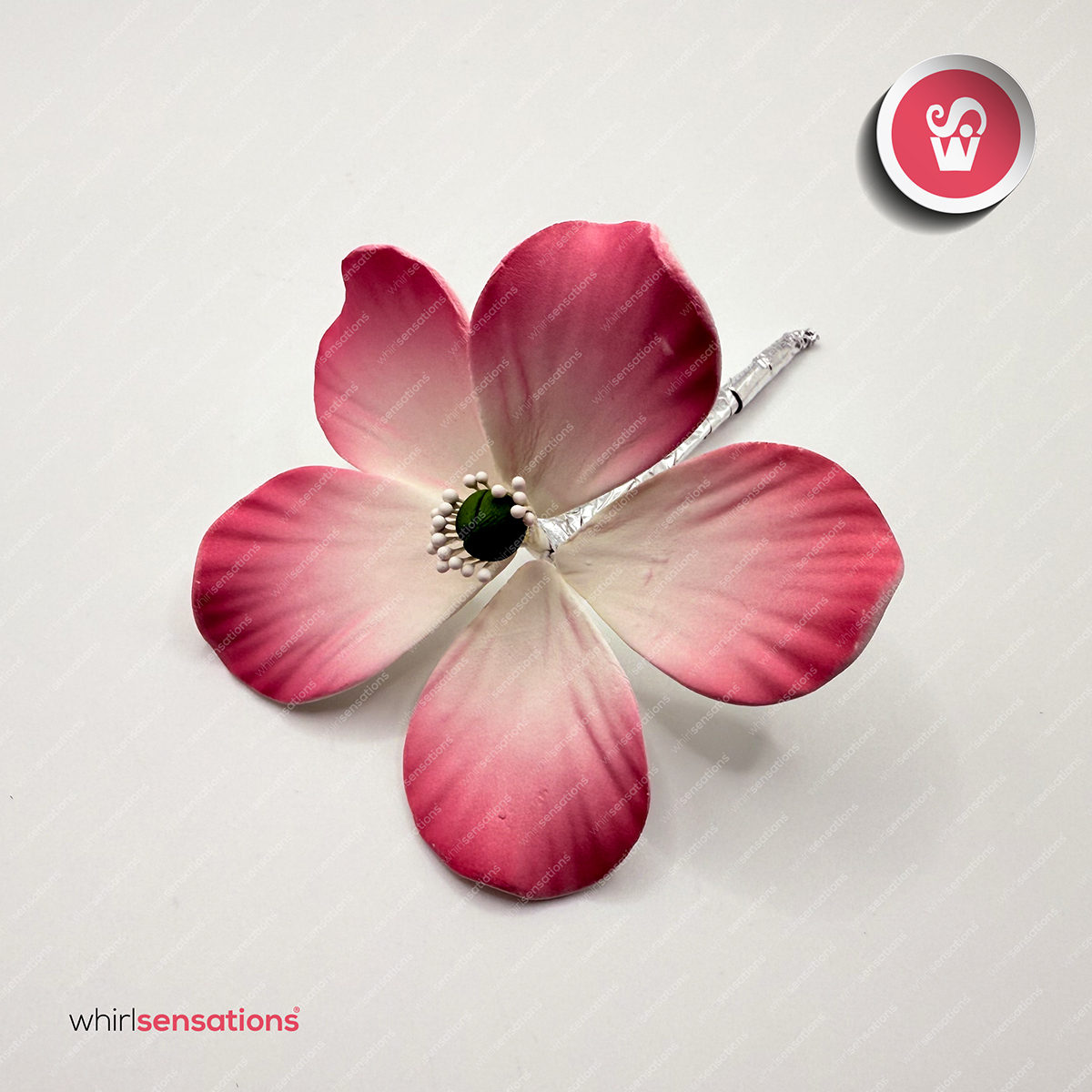 flores-A0456-rosa-1-whirlsensations (002)