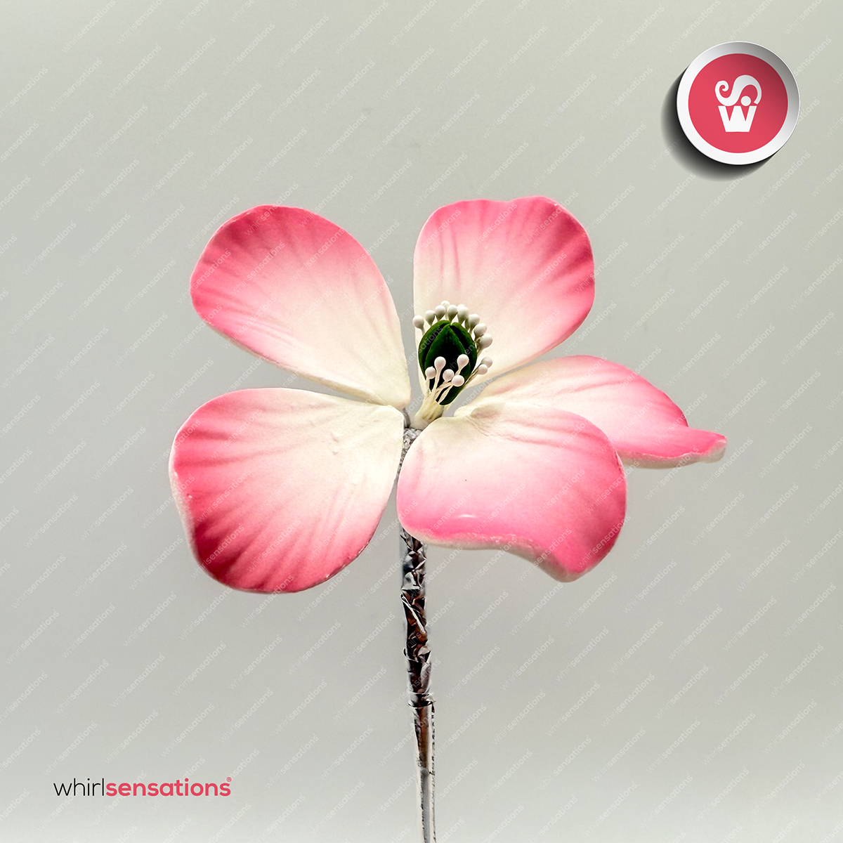 flores-A0456-rosa-3-whirlsensations (002)