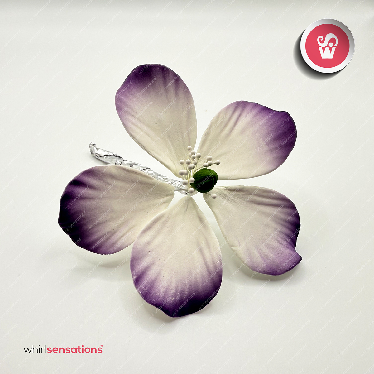 flores-A0456-violeta-1-whirlsensations (002)