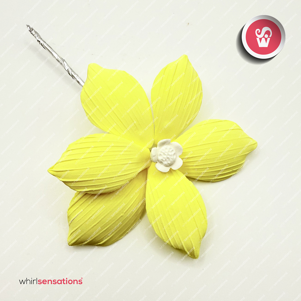 flores-A0457-amarelo-1-whirlsensations (002)