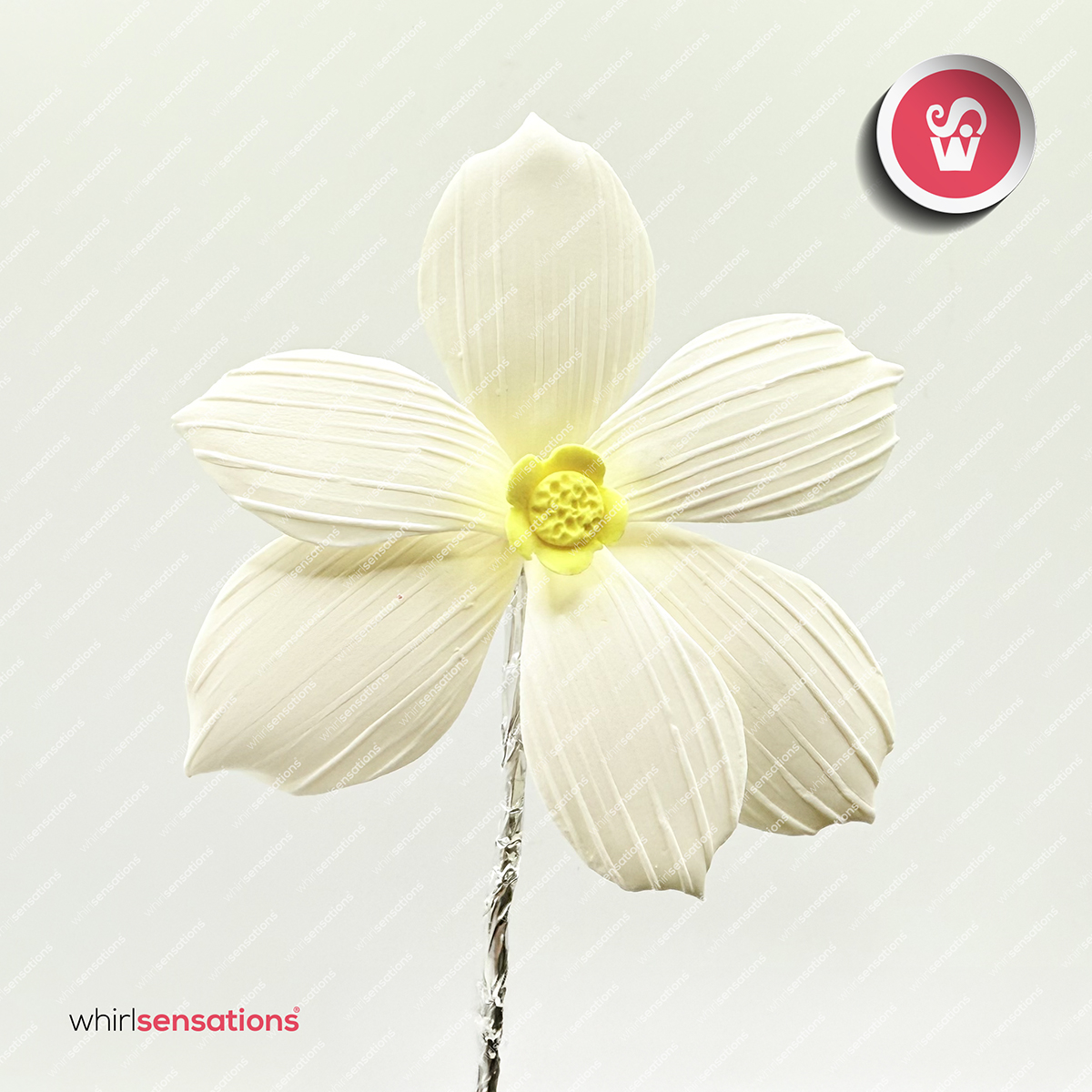 flores-A0457-branco-2-whirlsensations (002)