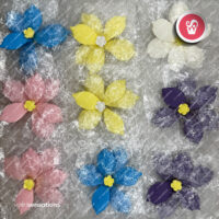 flores-A0457-pack-4-whirlsensations (002)