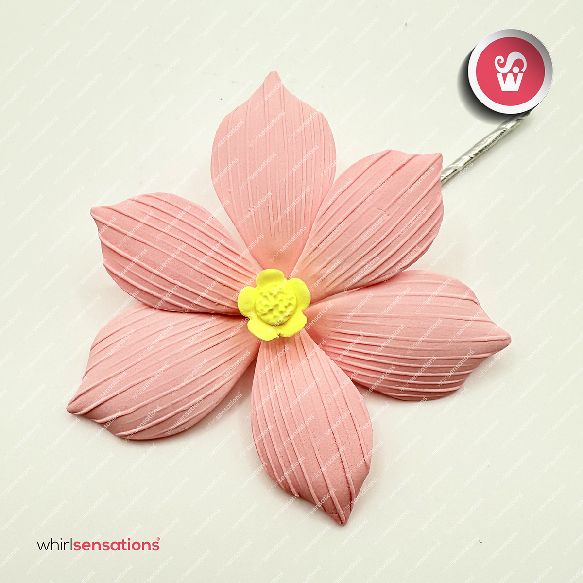 flores-A0457-rosa-1-whirlsensations (002)