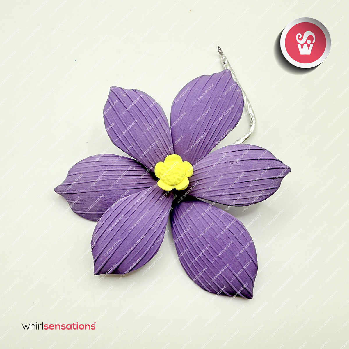 flores-A0457-violeta-1-whirlsensations (002)