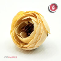 flores-artificiais-amarelo-manteiga-whirlsensations-06
