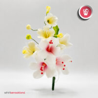 ramos-coloridos-17cm-6unidades-01-whirlsensations