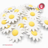 flor-obreia-margarida-branca-2-whirlsensations (002)