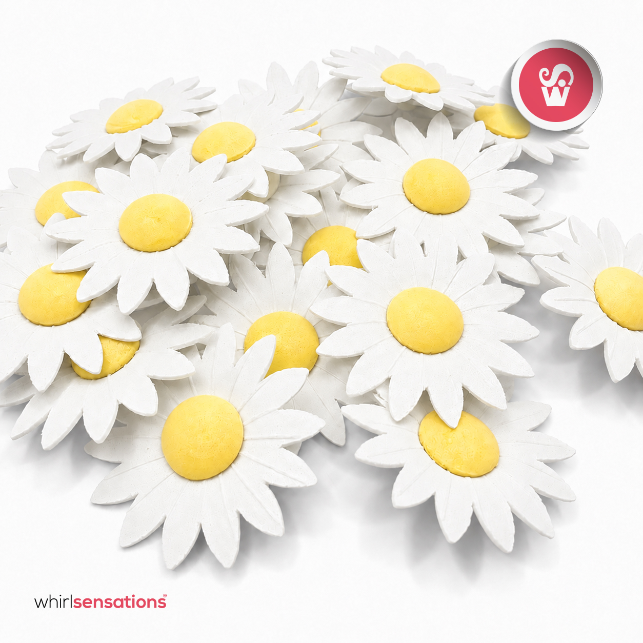 flor-obreia-margarida-branca-2-whirlsensations (002)