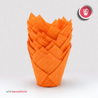forma-tulipa-laranja-1-whirlsensations
