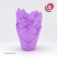 forma-tulipa-violeta-1-whirlsensations